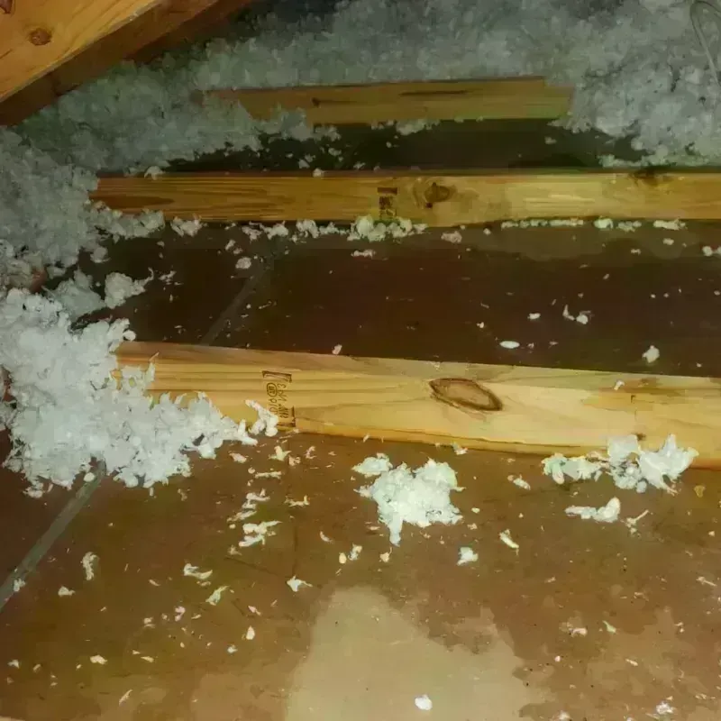 Attic Water Damage in Bellevue, IL