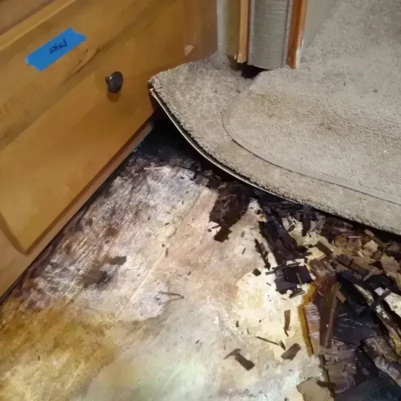 Wood Floor Water Damage in Bellevue, IL